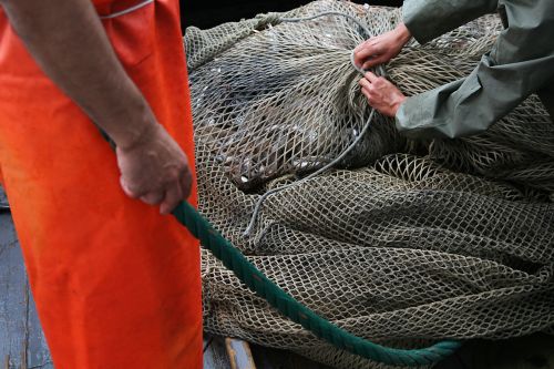 Salute e Sicurezza nel settore della pesca – la normativa da osservare